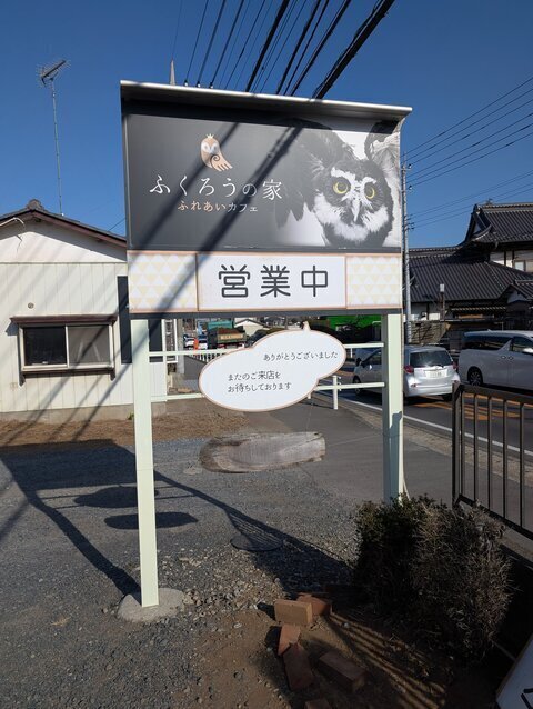 01.jpg